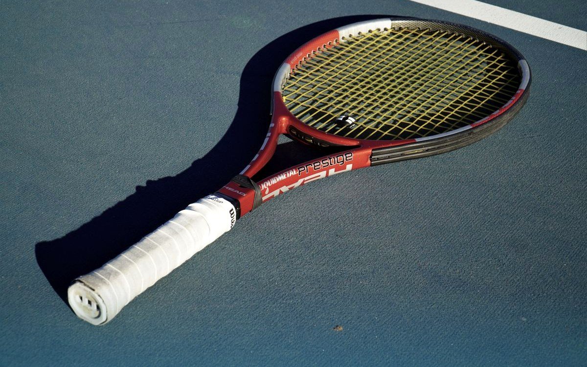 Protector de pala de pickleball
